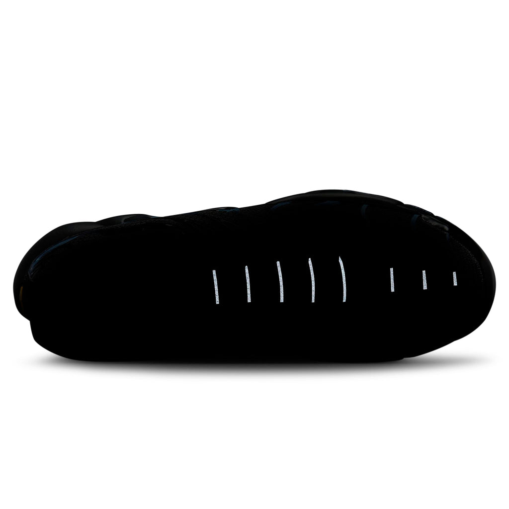 Nike TN Air Max Plus Black University Blue (2022)