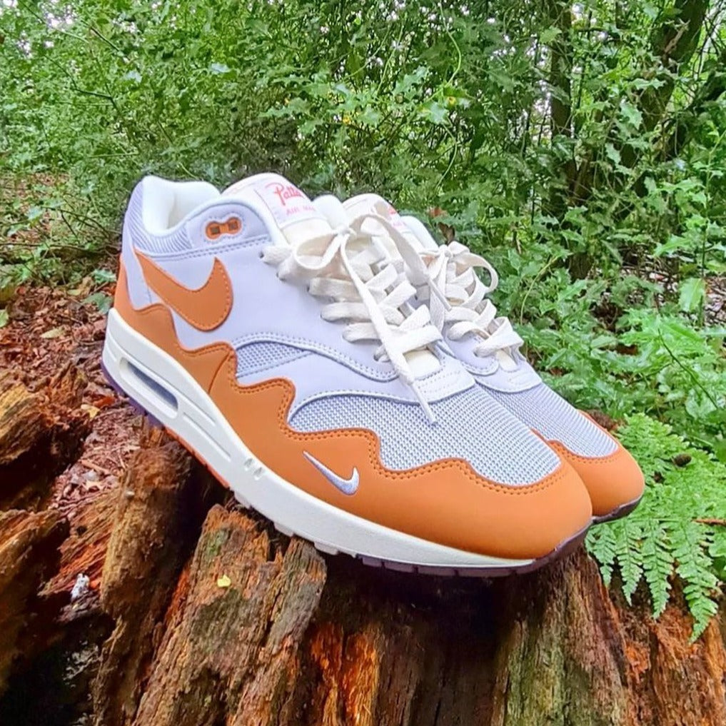 Nike x Patta Air Max 1 'Waves Monarch'